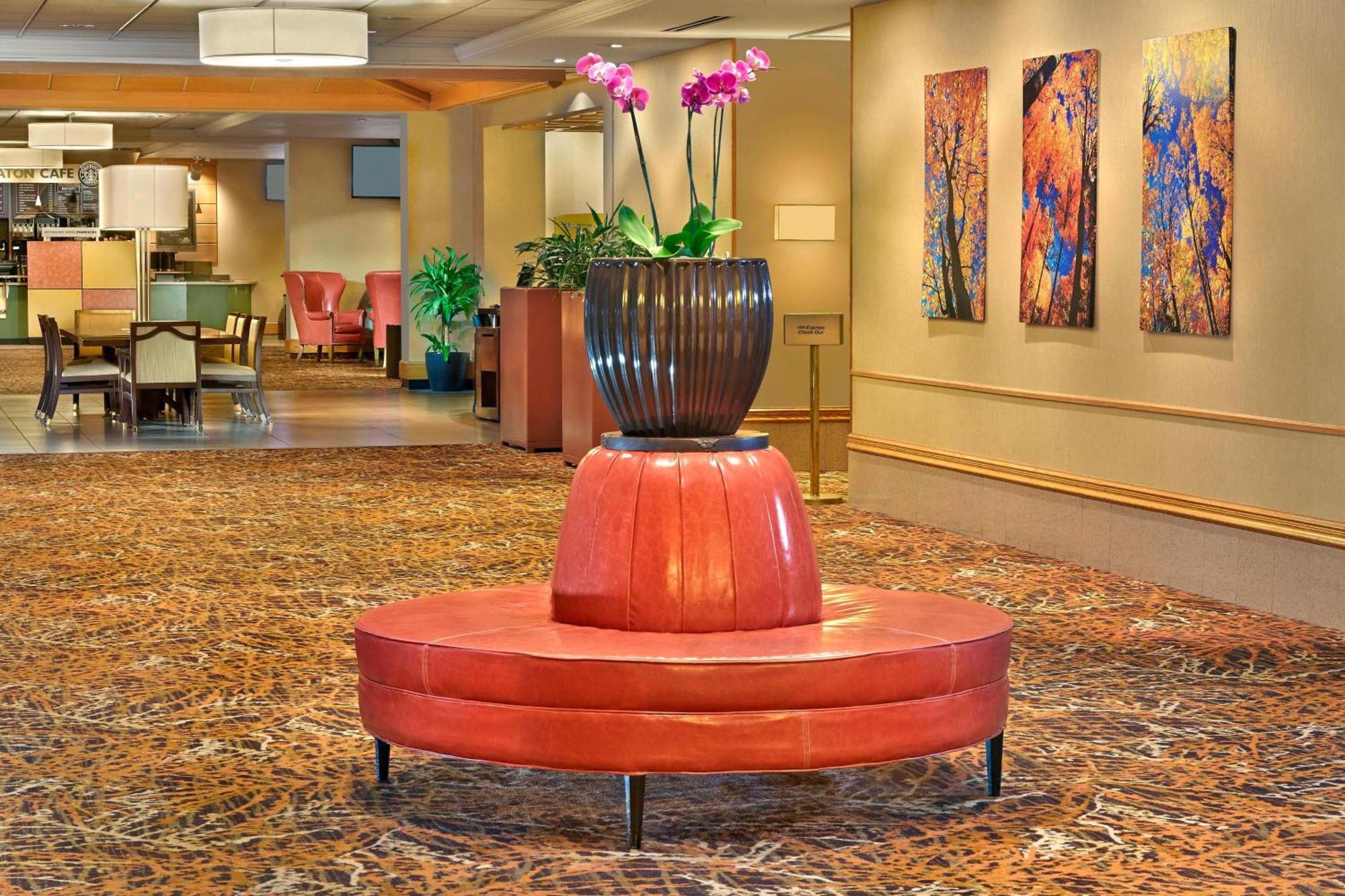 Sheraton Hartford Hotel At Bradley Airport Windsor Locks Exterior photo